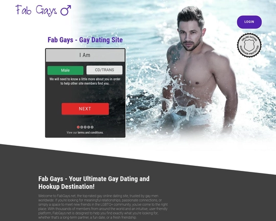 Fab Gays Logo